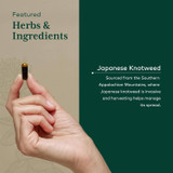 Hand holding a capsule, featured herb Japanese knotweed graphic