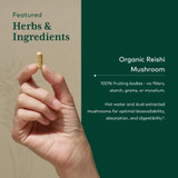 Hand holding a capsule, organic Reishi mushroom featured ingredient graphic