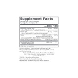 Protocol Methyl-Action - 90 Capsules