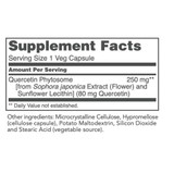Protocol Quercetin Phospholipid 250mg - 90 Capsules PLB30876 BeautifiedYou.com