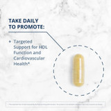 CardioLux HDL capsule on marble, take daily graphic