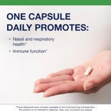 Hand holding a capsule, one capsule daily graphic