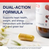 Berberine GT capsule and bottle, dual-action formula graphic