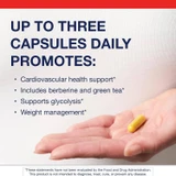 Hand holding a Berberine GT capsule with daily use graphic