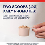 Hand holding a scoop of chocolate protein powder