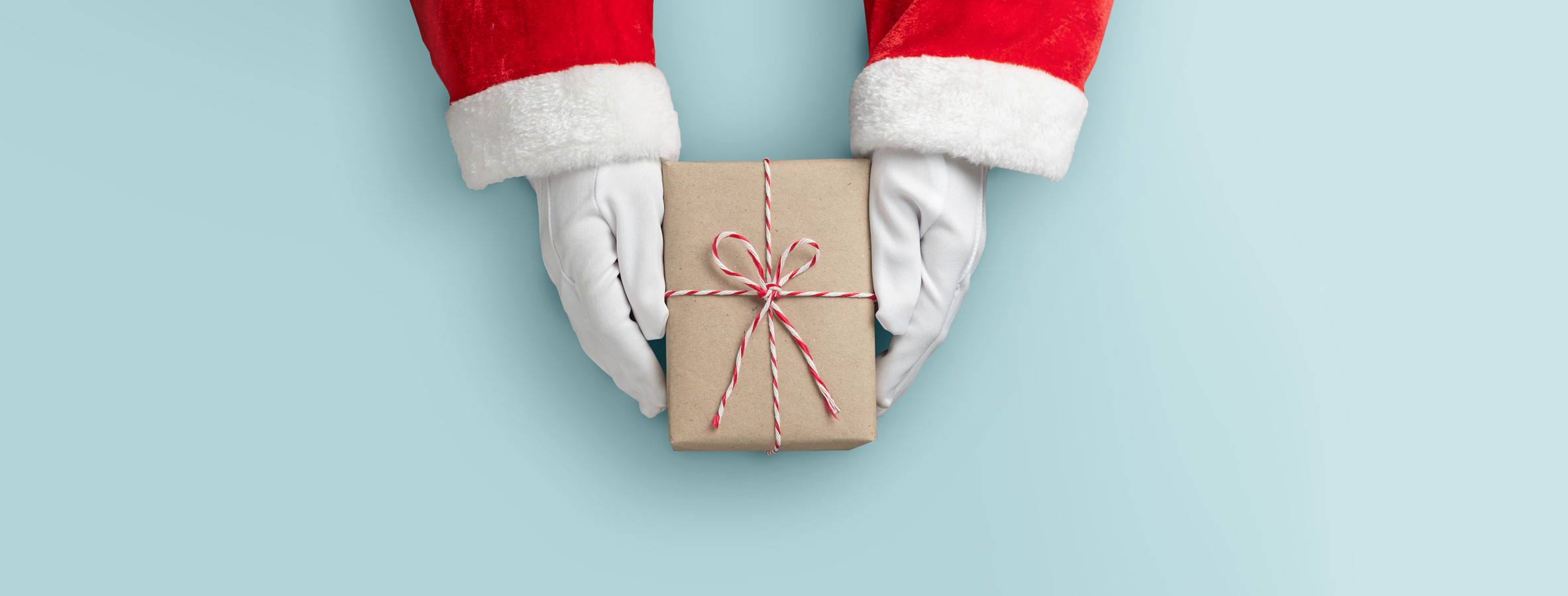 Holiday Gift Guide 2024