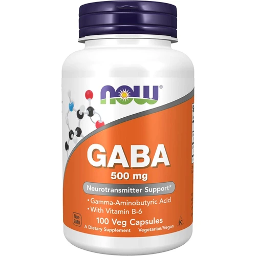 NOW Foods GABA 500mg - 100 Capsules