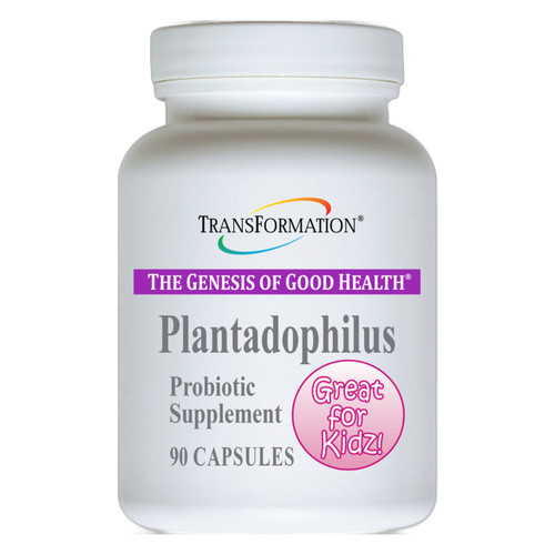 Transformation Enzymes Plantadophilus 90 vegetarian capsules bottle front label