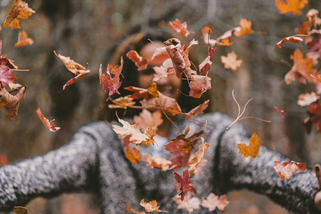 Best Moisturizers for Fall 2018 - Anora, EltaMD, Epionce, IS Clinical & Obagi