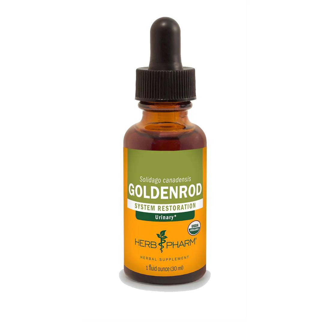 Herb Pharm Goldenrod - 30 ml