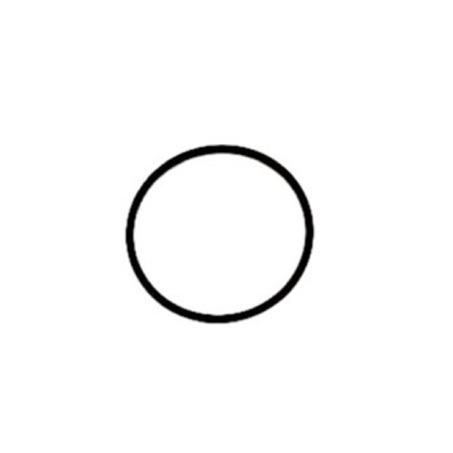 King Pin O Ring