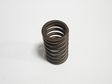 Spring-3220530420