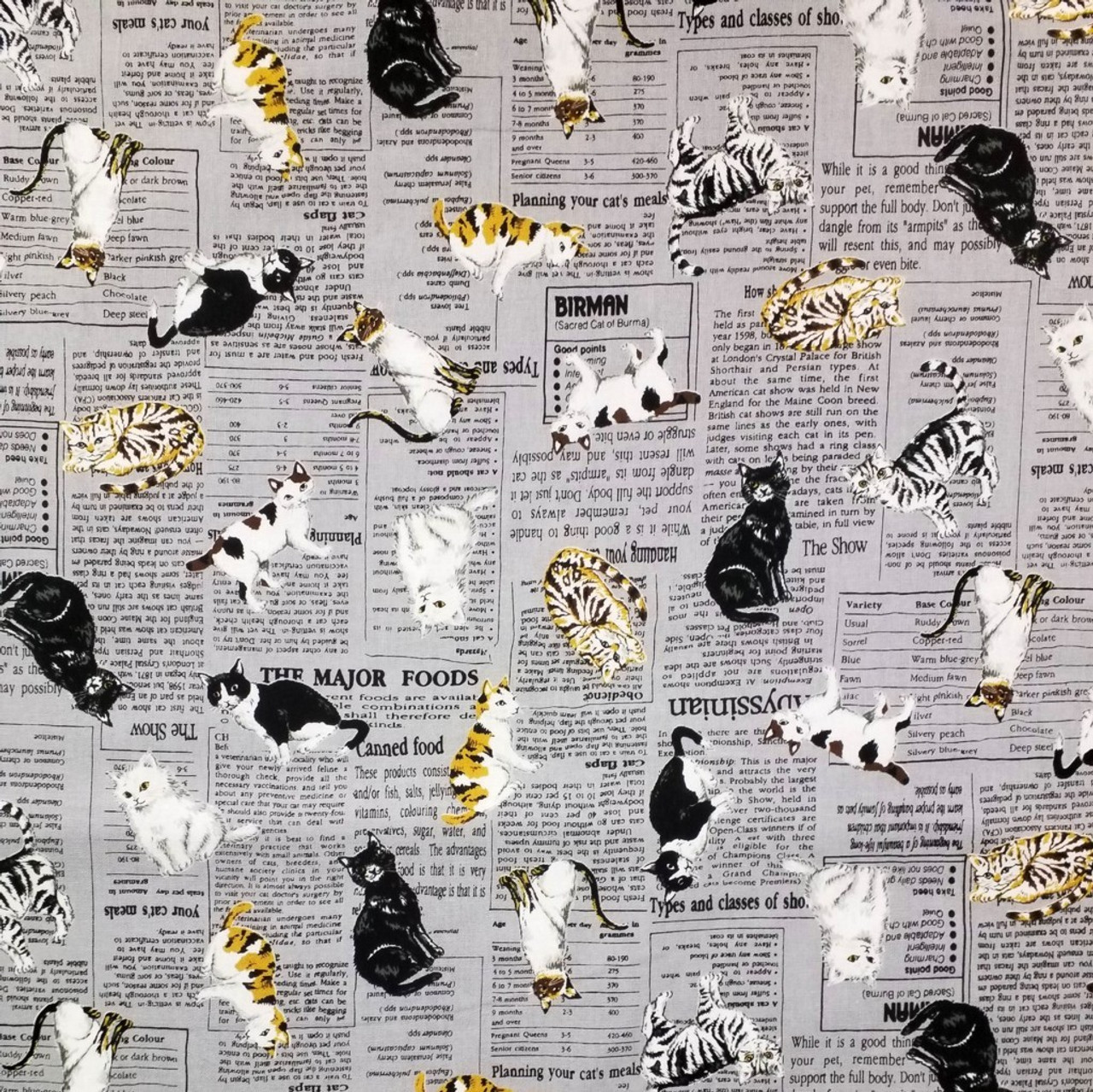 Sevenberry Curious Cats On Newsprint Japanese Fabric Old Mill Quilting Sevenberry Curious Cats On Newsprint Japanese Fabric Old Mill Quilting