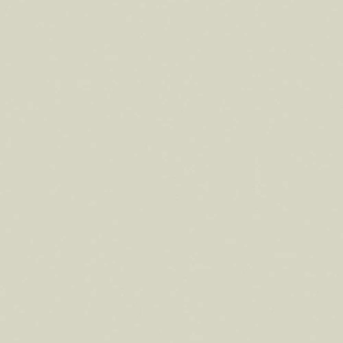 Art Gallery Pure Solids Light Grey Fabric