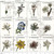 Riley Blake Designs Sewing Seeds III Flower Classes Fabric by J. Wecker Frisch CD15684-WHITE