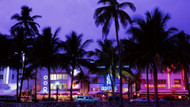 ​✨ Explore the Magic of Miami ✨