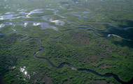 Everglades and Airboats