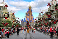 Orlando Tours 