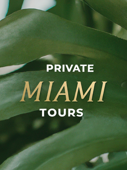 private tours miami 