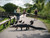 miami-tours-everglades