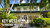 miami-tours-everglades-key-west-combo