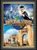 miami-tours-orlando-universal-studios6
