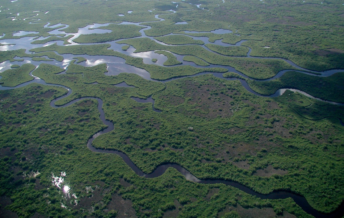 miami-tours-everglades-9-.jpg