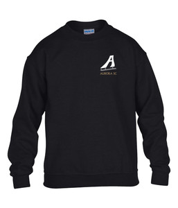 Aurora Skating Club Youth Crewneck Aurora Skating Club Youth Crewneck