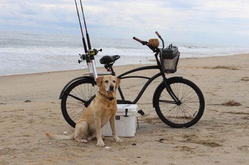 Liner For CPI Reels on Wheels Senior Fishing Cart