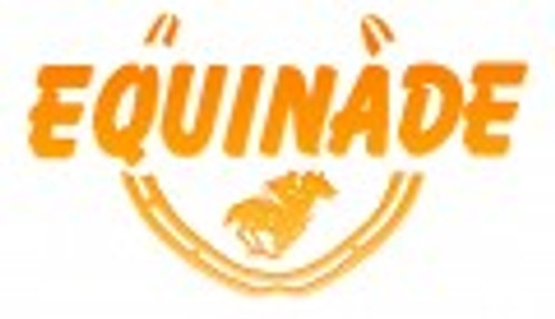 Equinade