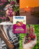 Optibac Gut Health Gummies - 30 Gummies