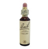 Bach Original Flower Remedies Bach Flower Chicory - 20ml