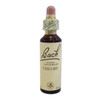 Bach Original Flower Remedies Bach Flower Chicory - 20ml