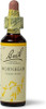 Bach Original Flower Remedies Hornbeam - 20ml