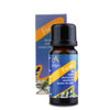 Absolute Aromas Focus Blend Oil - 10ml