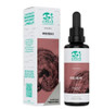 Kaapa Mushrooms Reishi Mushroom Organic Extract Tincture - 50ml