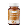Lifeplan Lion's Mane Mushroom - 60 Capsules