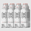 KA-EX GO Grapefruit Lemon - Pack of 12 (460ml each)