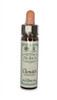 Dr Bach Clematis Bach Flower Remedy - 10ml