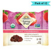 Sunny Fruit Dried Soft Strawberries Organic - Pack of 12 (20g each)