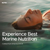 Nutraconcepts Krill Oil Omega-3 Plus - 60 Softgels