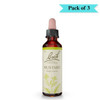 Dr Bach Mustard Bach Flower Remedy - Pack of 3 (10ml each)