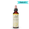 Dr Bach Hornbeam Bach Flower Remedy - Pack of 3 (10ml each)