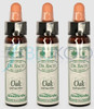 Dr Bach Oak Bach Flower Remedy - Pack of 3 (10ml each)