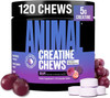 Animal Creatine Chews Grape - 120 Tabs