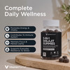 Vitamin Planet 5-in-1 Shilajit Gummies – 30 Gummies
