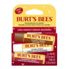 Burt's Bees Seasonal Sweet Lip Balm Trio - Set of 3