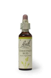 Bach Original Flower Remedies Chestnut Bud - 20ml