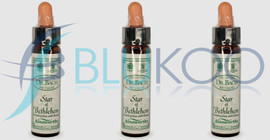 Dr Bach Star of Bethlehem Bach Flower Remedy - Pack of 3 (10ml each)