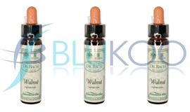 Dr Bach Walnut Bach Flower Remedy - Pack of 3 (10ml each)